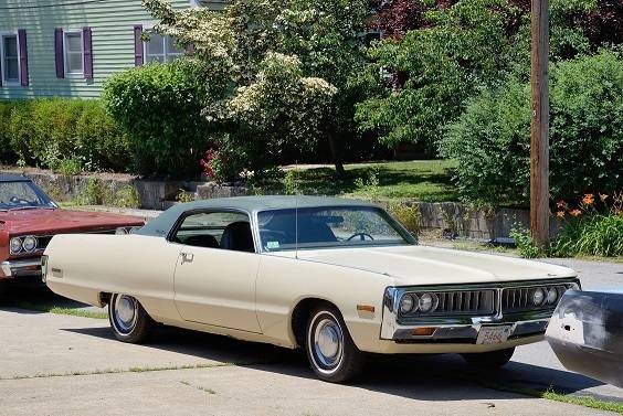 DSC_1206 (2)newport.jpg