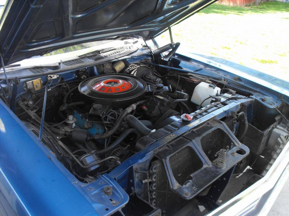 DSCF0210 (2) (1024x768).jpg