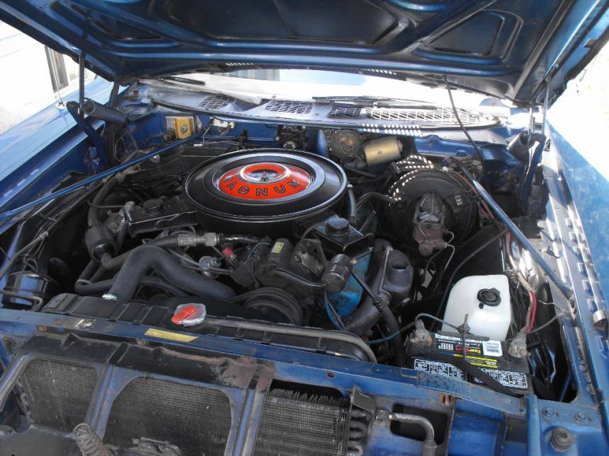 DSCF0211 (2) (1024x768).jpg