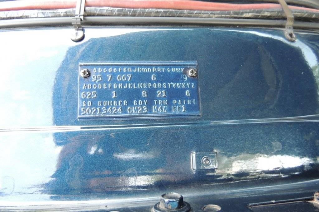 DSCN3539 (Large).JPG