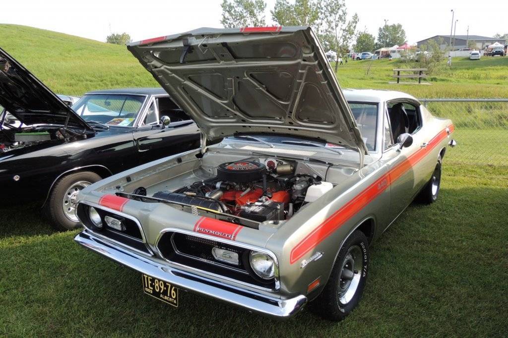 DSCN3543 (Large).JPG