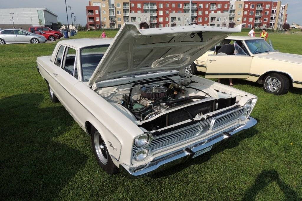 DSCN3546 (Large).JPG