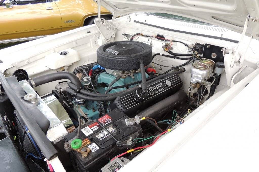 DSCN3557 (Large).JPG