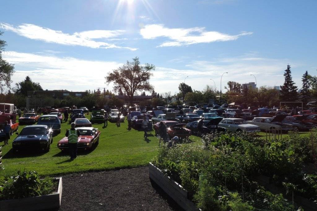 DSCN3731 (Large).JPG