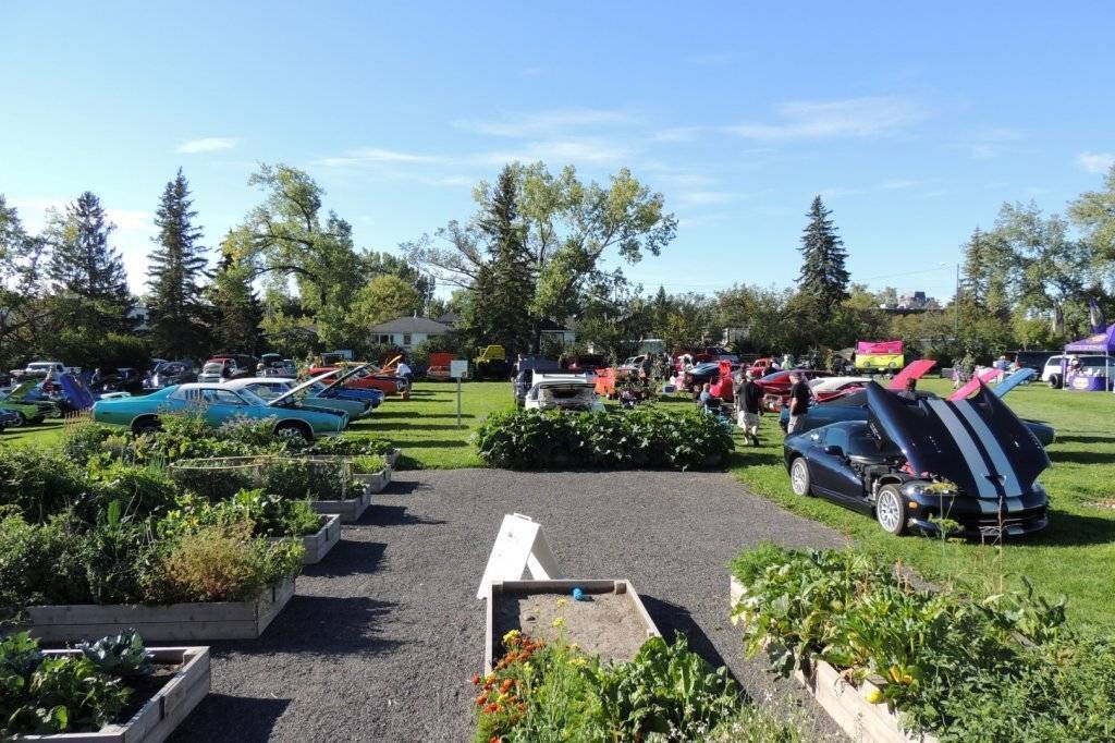 DSCN3732 (Large).JPG