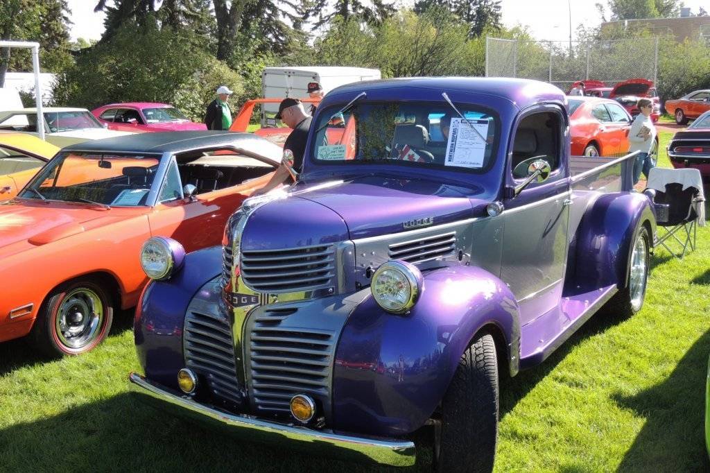 DSCN3767 - Copy (Large).JPG