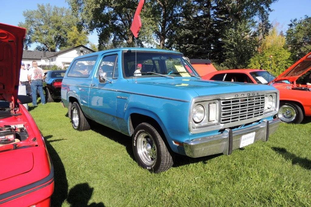 DSCN3777 - Copy (Large).JPG