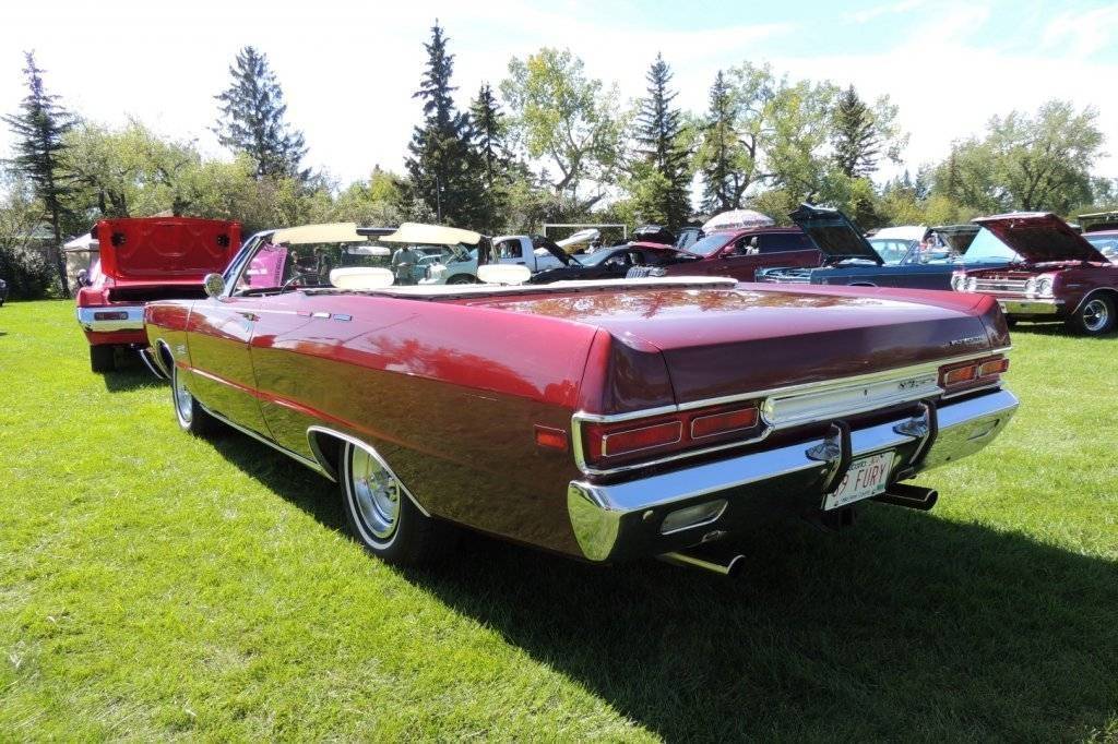 DSCN3812 (Large).JPG