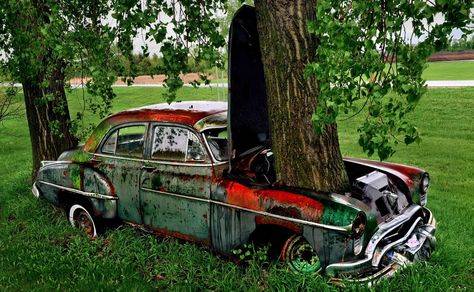 e5125ff71684853420370dc62124e891--tree-planters-abandoned-cars.jpg