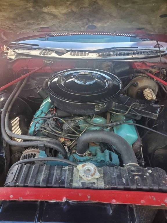 engine 299800412_5401328089975079_1389411590043384341_n.jpg