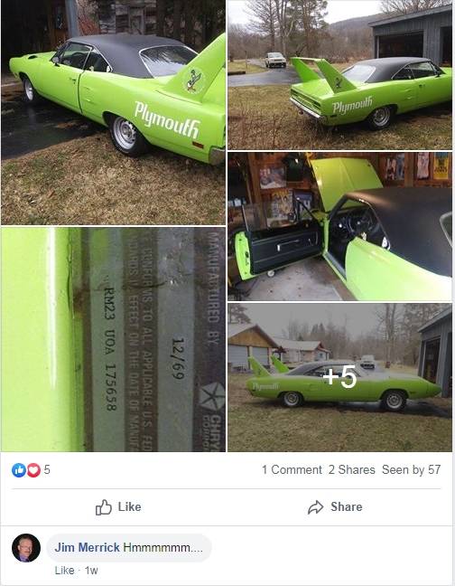 FB.SUPERBIRD.001.jpg