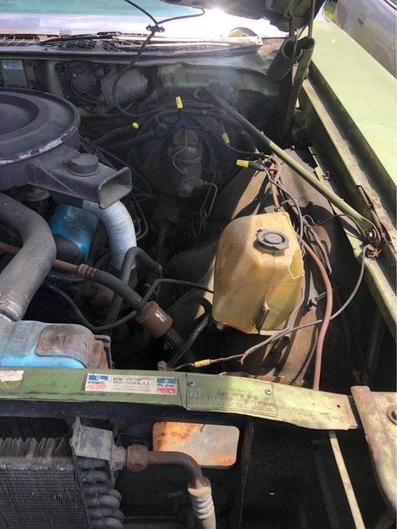 fender tag 438204989_8109721659055325_2315124923639608954_n.jpg