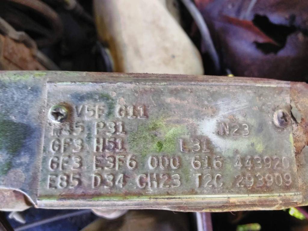 fender tag Resized_20201222_142749.jpg