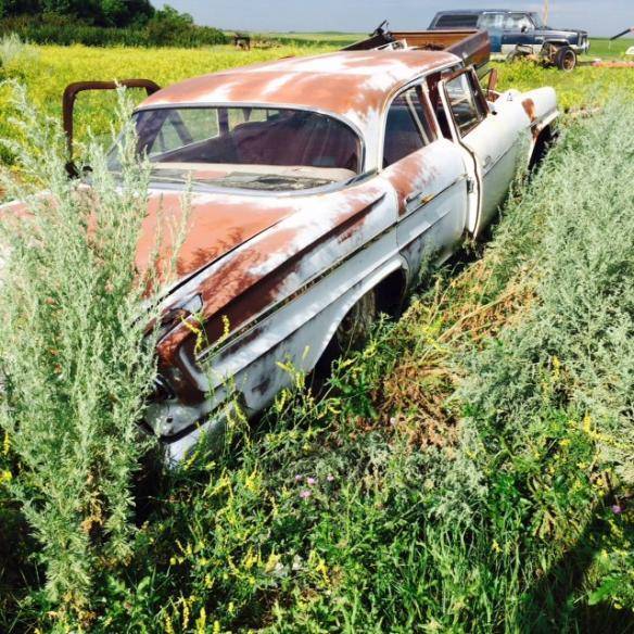 FullSizeRender (2).jpg