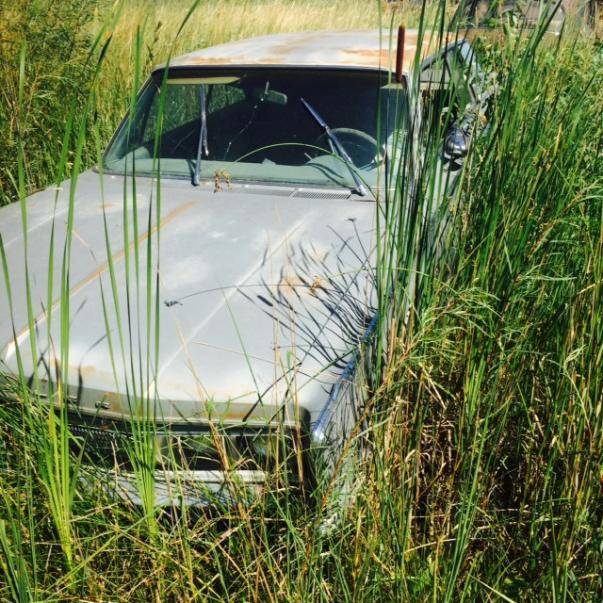 FullSizeRender (26).jpg