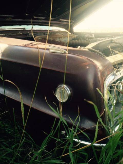 FullSizeRender (76).jpg