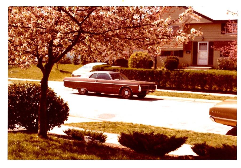 Fury and tail of Dart, Fargo Ave.jpg