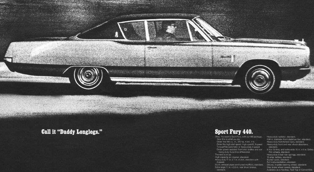 Fury daddy long legs 1 a.jpg