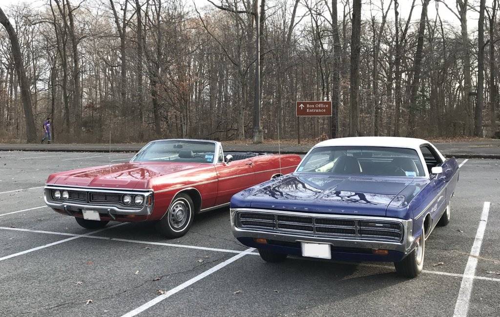 GC8_Poppy_20200111 copy.jpg