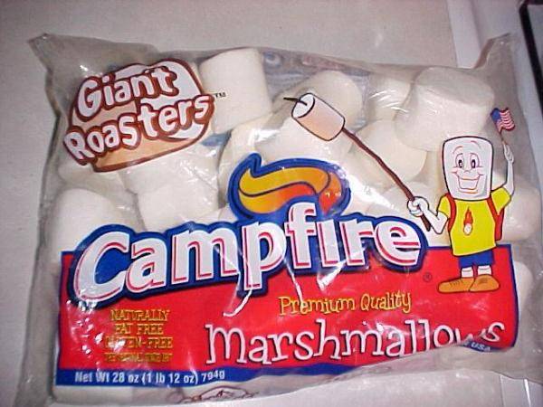 giant_roasters_campfire_marshmallows_l.jpg