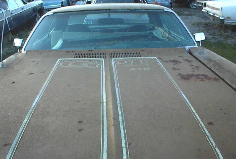 Gold Gold 2 71 GT hood.jpg