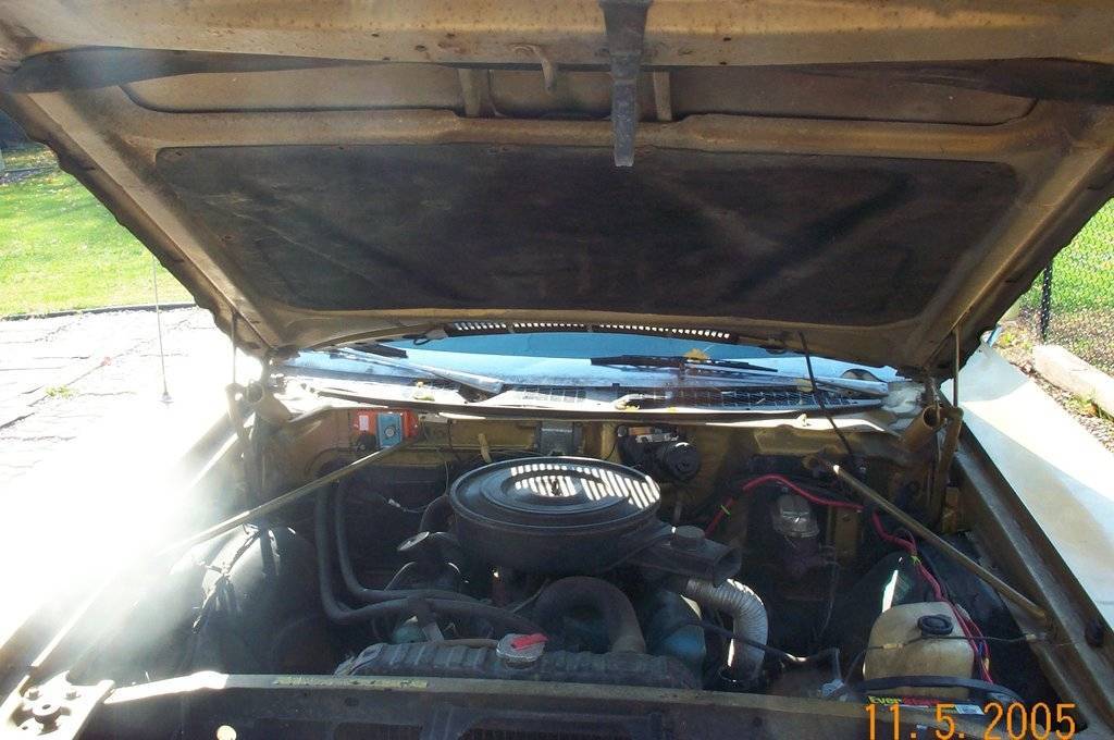 Gold Hood Engine.jpg