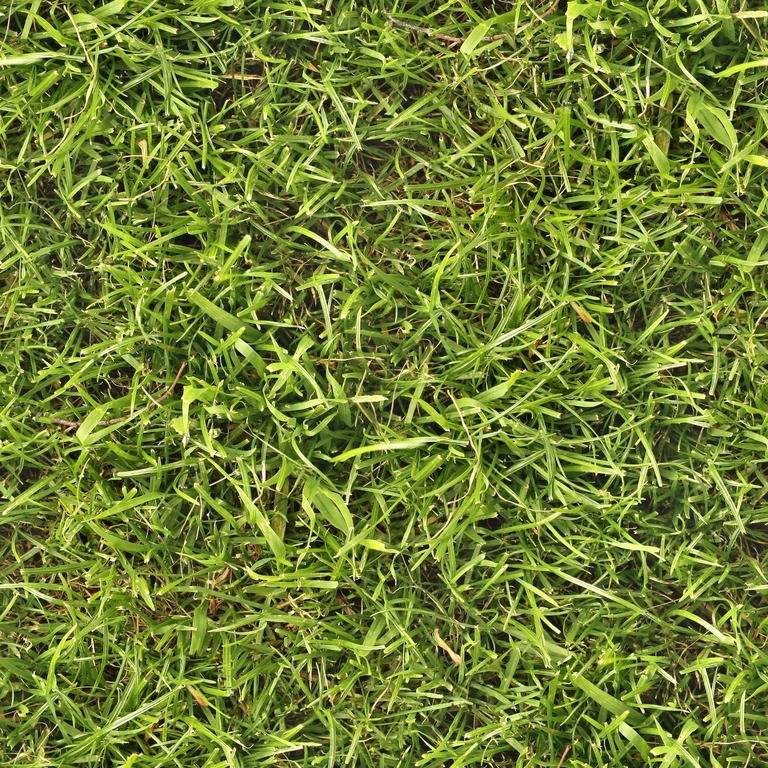 grass-03-seamless-jpg.jpg