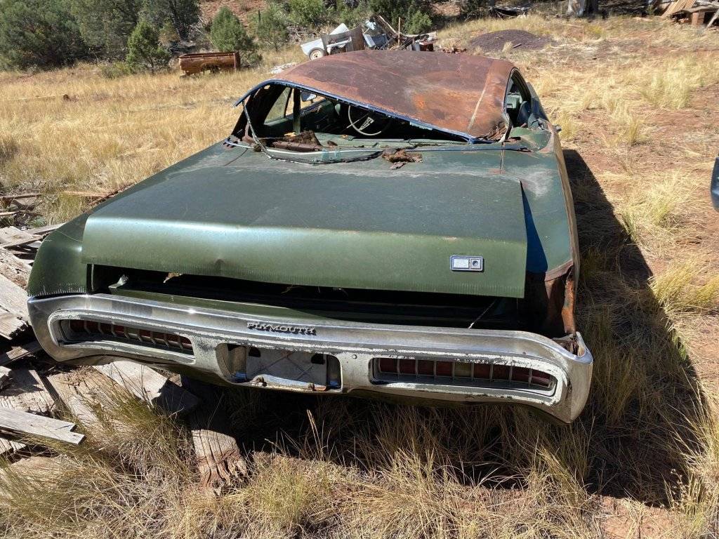 Green GT tree 11.jpg