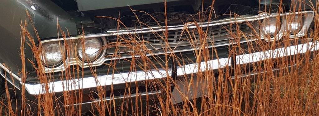 Grill - 1969 Fury VIP (2).jpg