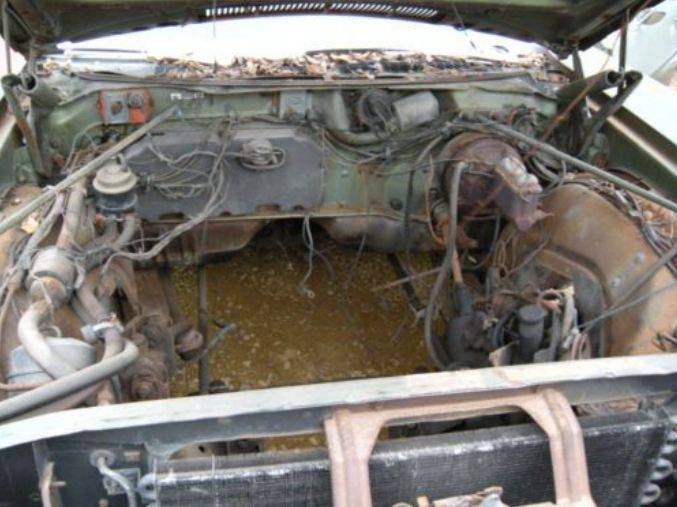 GT for sale in WI 2016.JPG