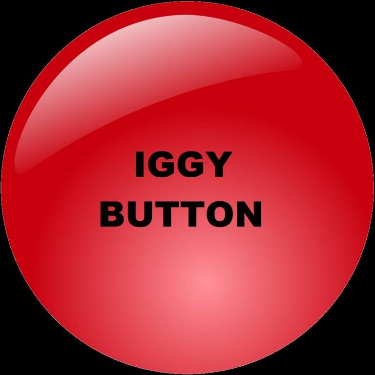 iggy button.jpg
