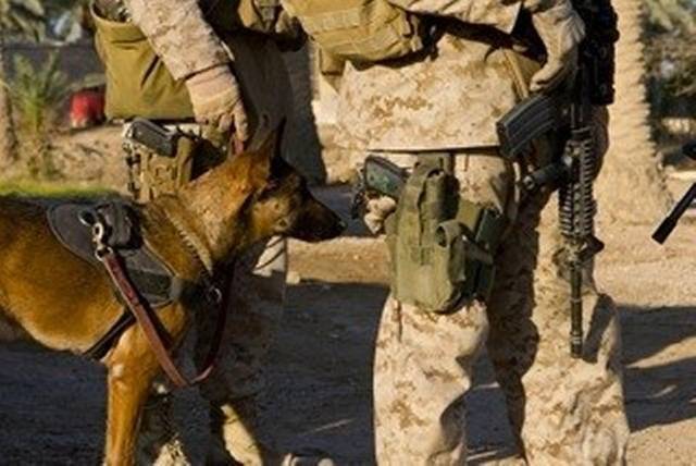 Iireland on duty.jpg