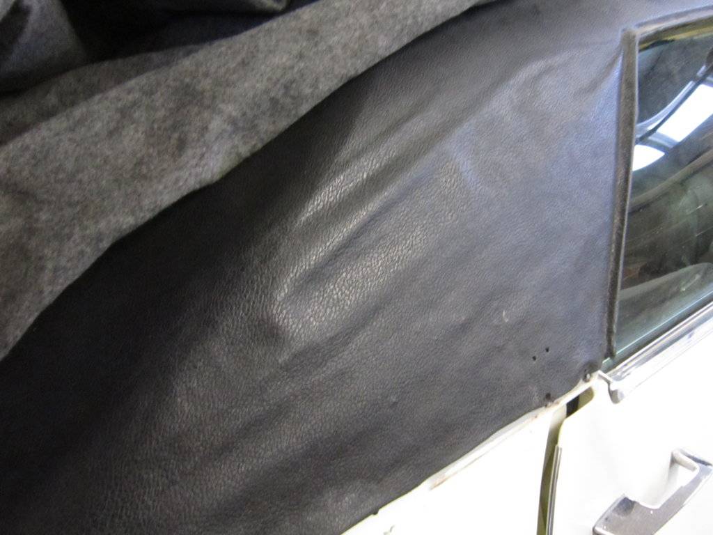 IL 21.3.2019 006.JPG