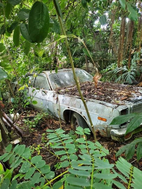 image_123650291 (1).JPG