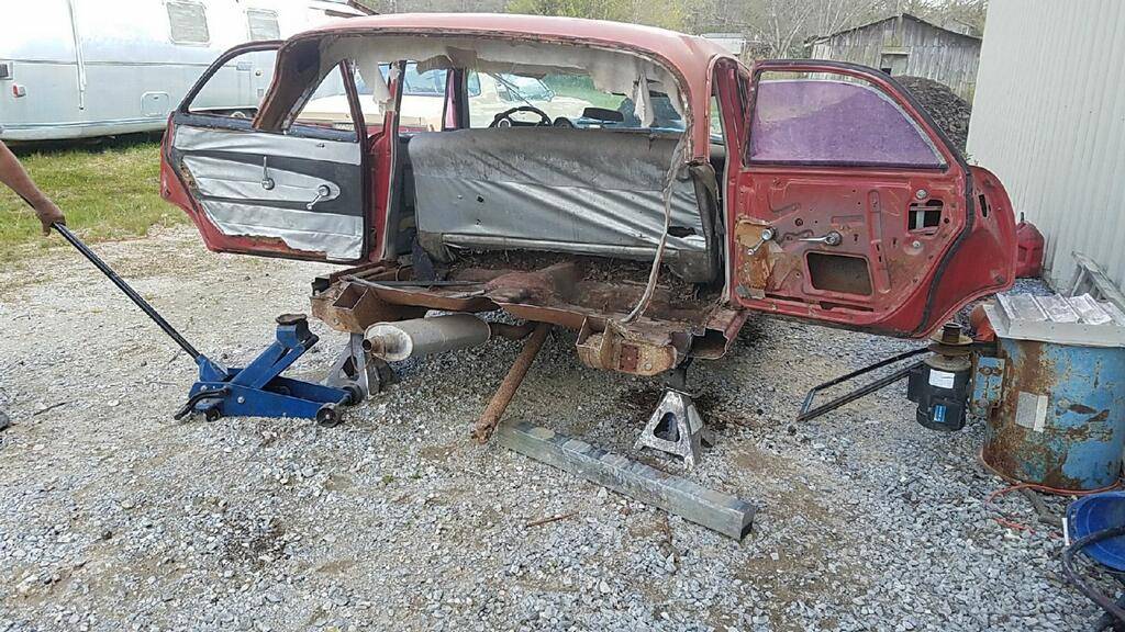 imagejpeg_0donor rear cut.jpg