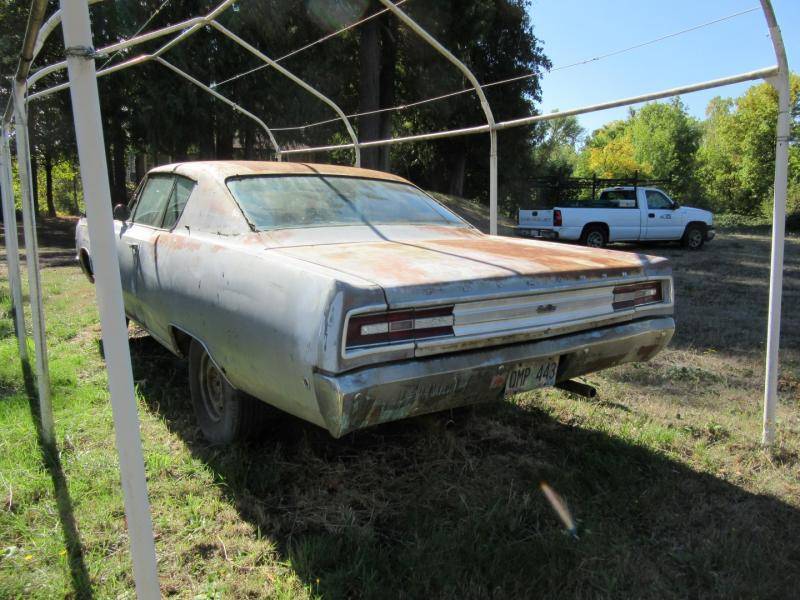 IMG_0073 (Large).jpg