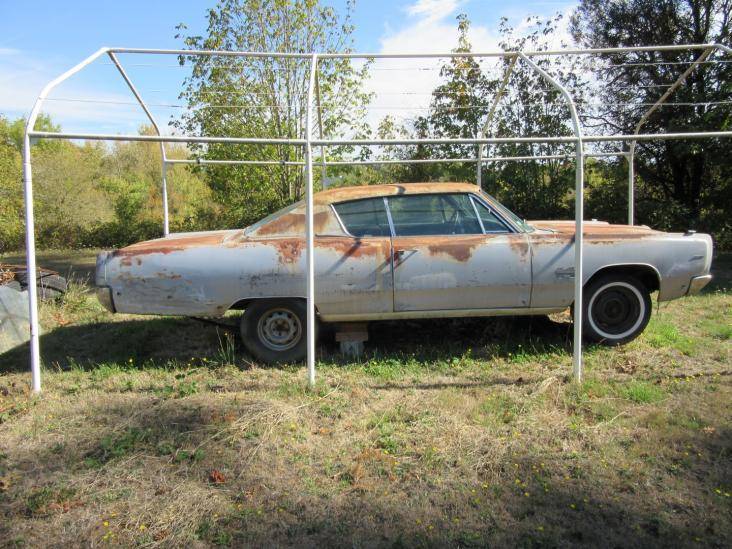 IMG_0074 (Large).jpg