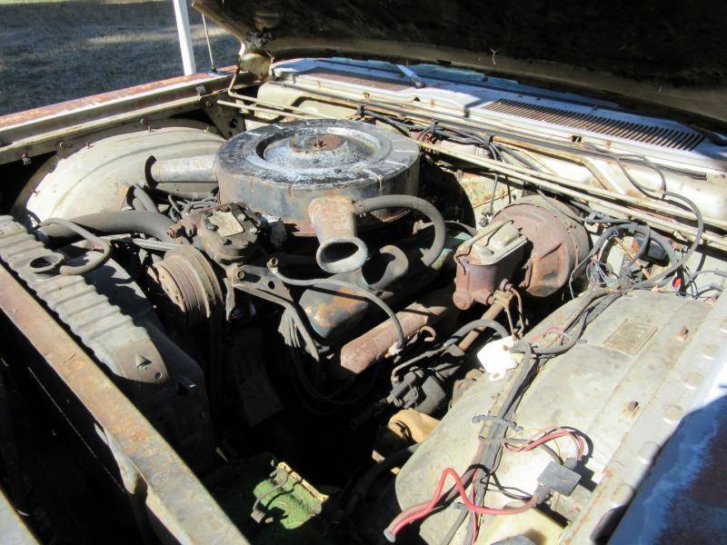 IMG_0077 (Large).jpg