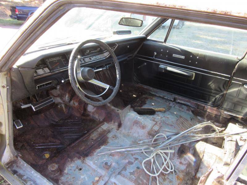 IMG_0079 (Large).jpg