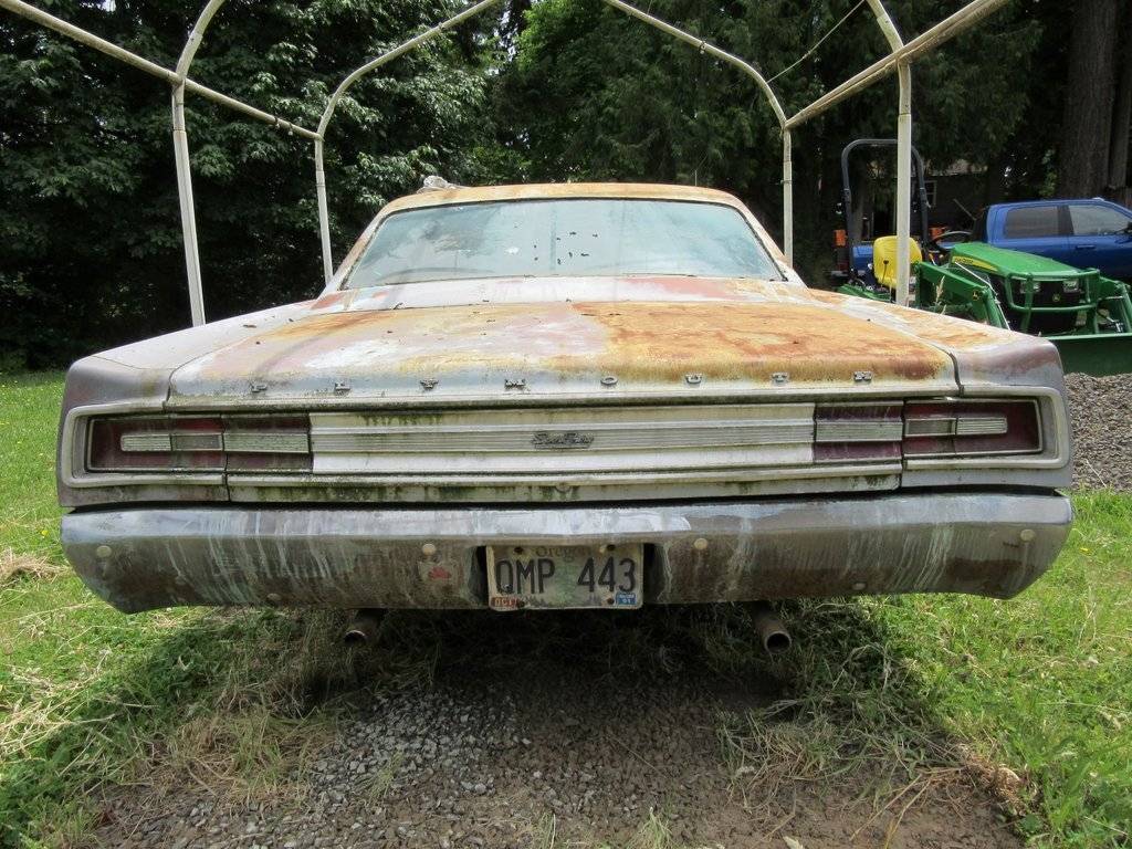 IMG_0333 (Large).JPG