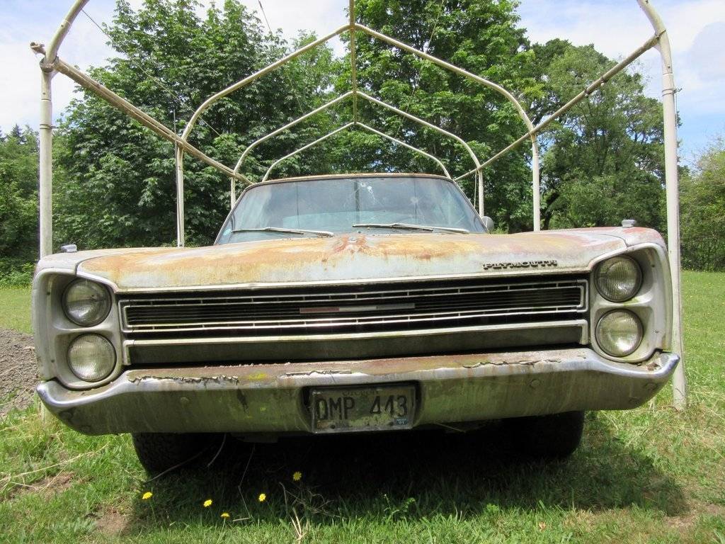 IMG_0334 (Large).JPG