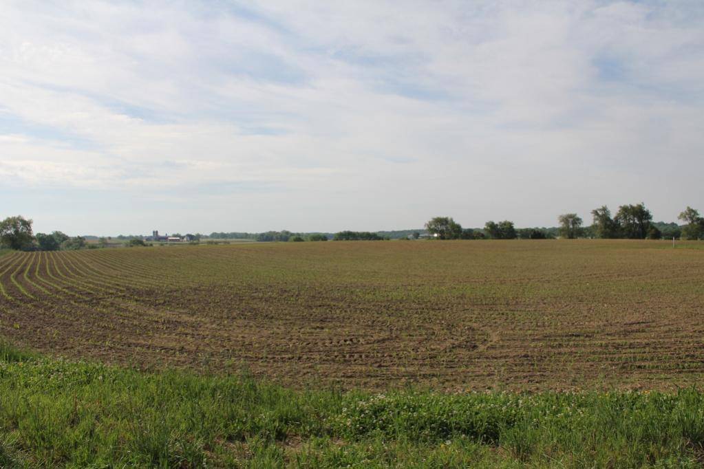 IMG_0885 (1024x683) (2).jpg