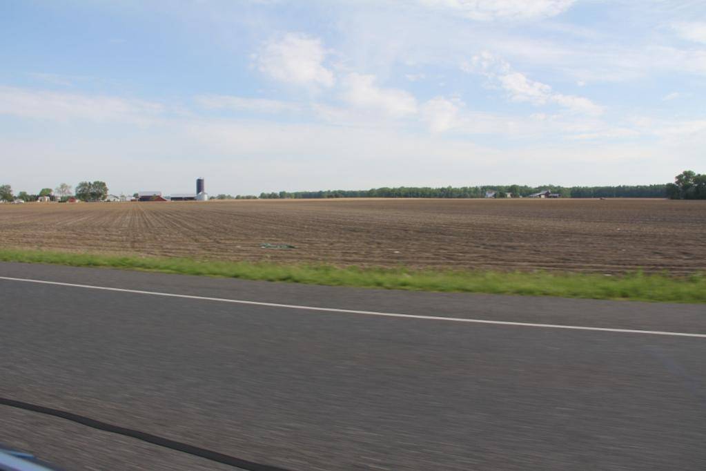 IMG_0889 (1024x683).jpg