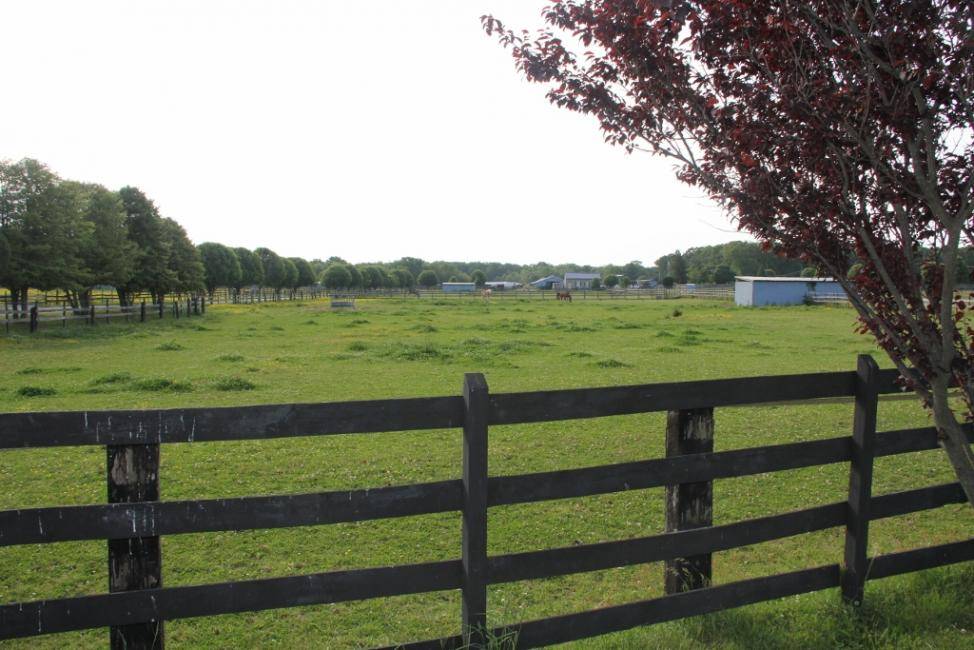 IMG_0892 (1024x683).jpg