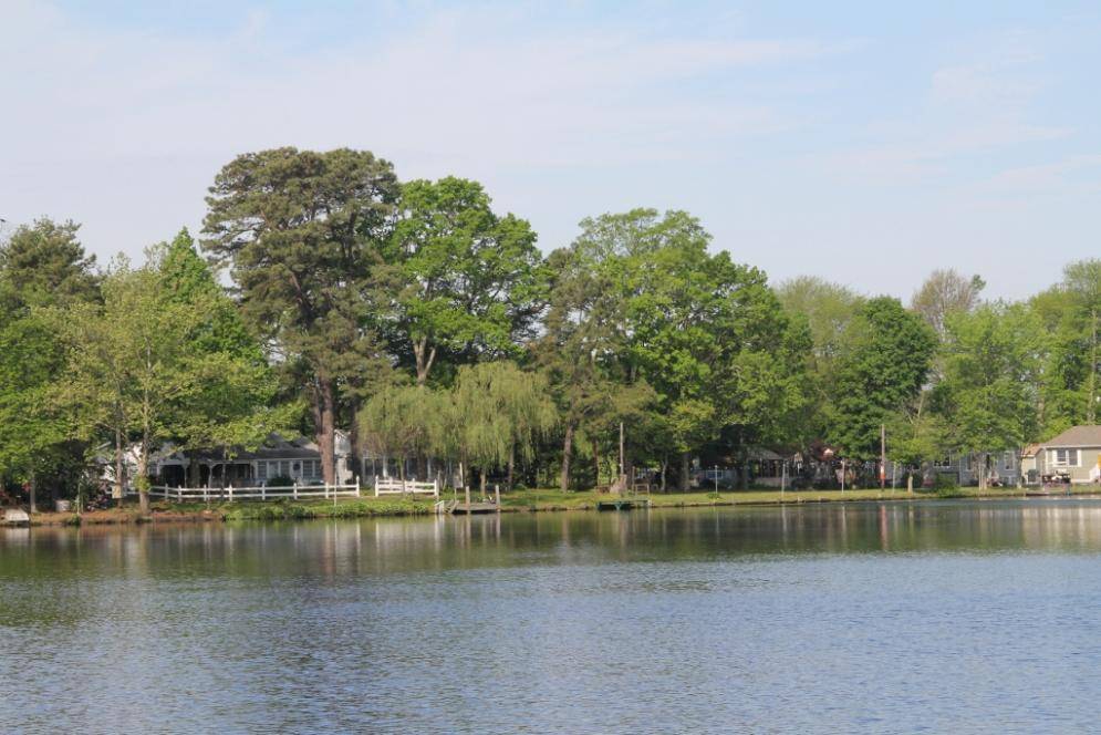 IMG_0904 (1024x683).jpg