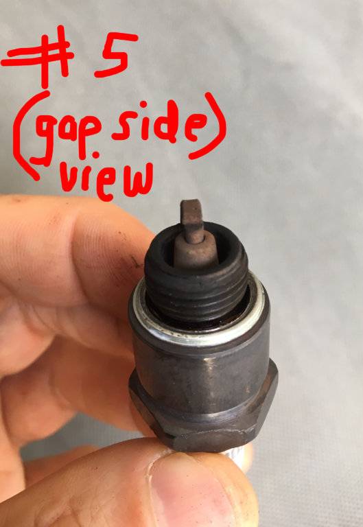 Reading my spark plugs; Fuel? Oil? Valve Seals? Carb leaking? For C