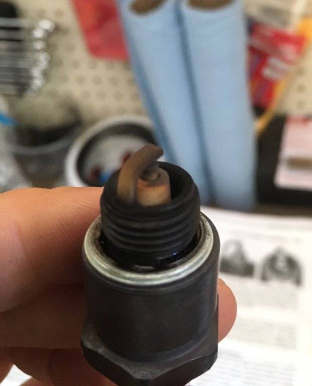 Reading my spark plugs; Fuel? Oil? Valve Seals? Carb leaking? For C