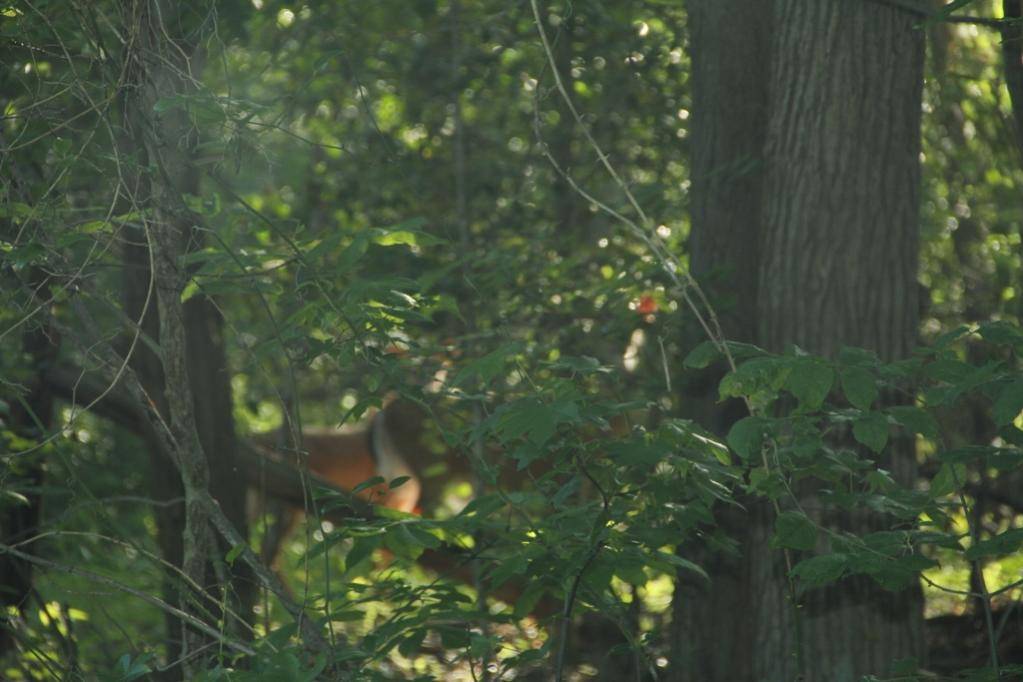 IMG_0936 (3) (1024x683).jpg