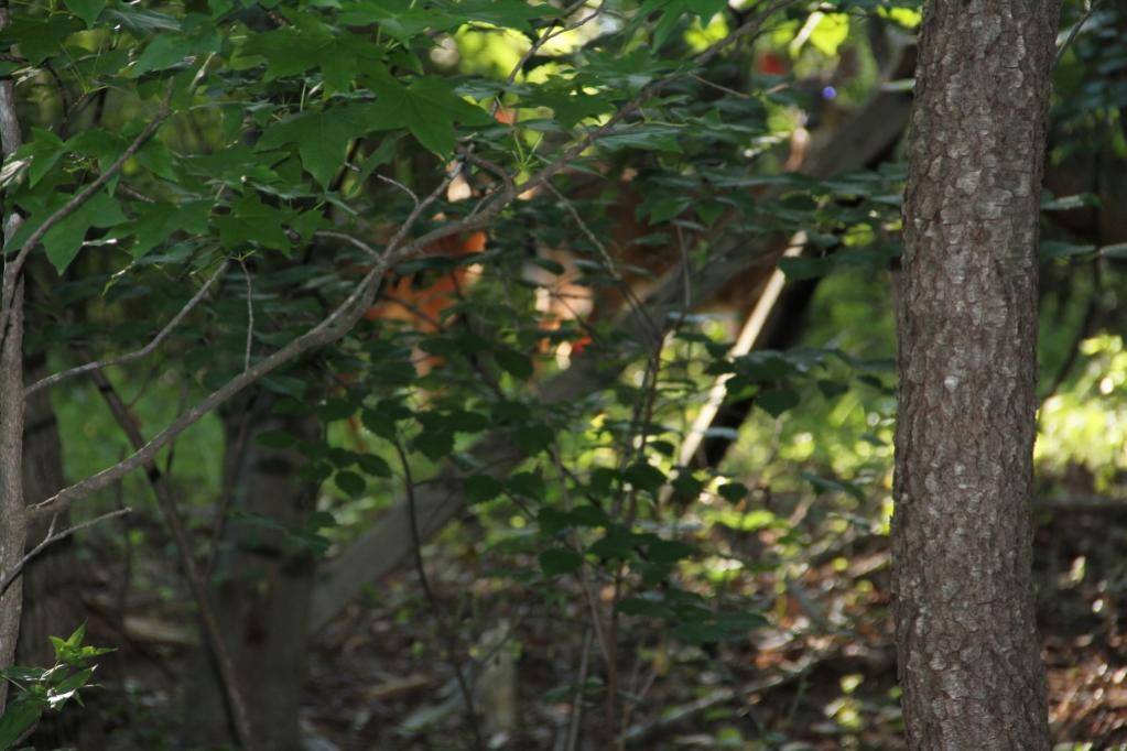 IMG_0937 (3) (1024x683).jpg