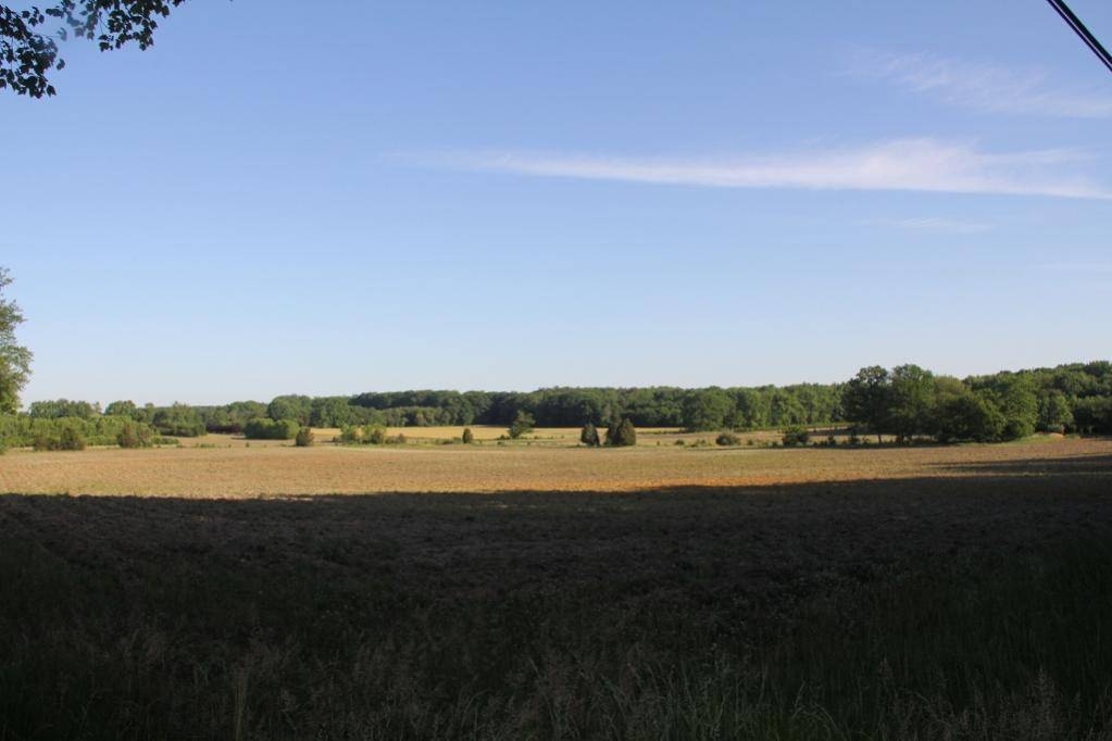 IMG_0938 (3) (1024x683).jpg